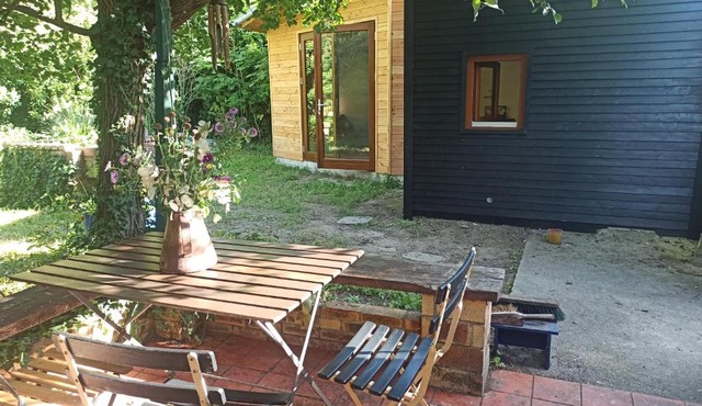 Capucine des lavandières