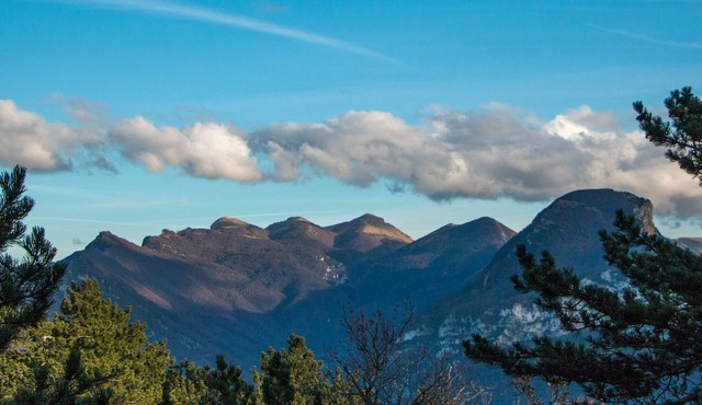 Carabistouille Chantebise-gîte