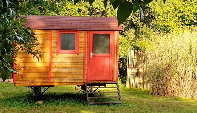 Caravan with shared pool