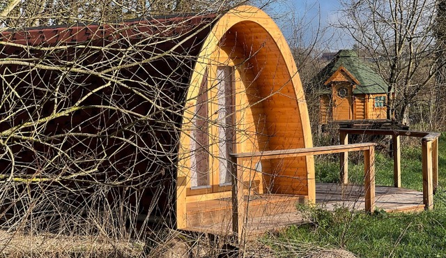 Caravane Insolite Entierement en Bois Immergée en Pleine Nature