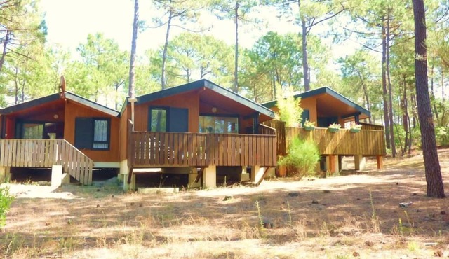 Carcans Maubuisson: Pretty Nice Apartment Overlooking Park