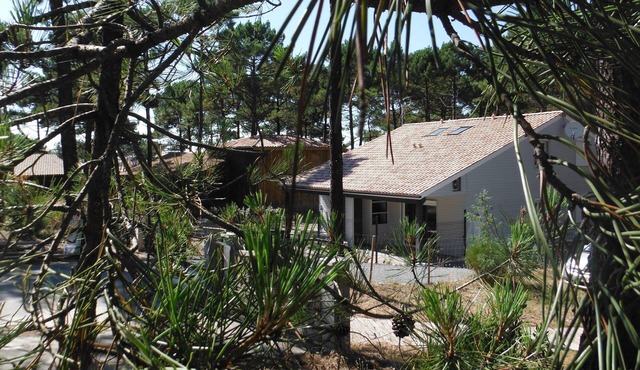 Carcans Plage: in the forest, 2 minutes away from the beach