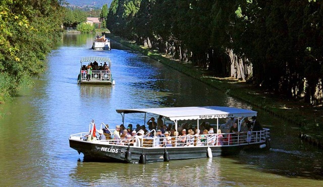 CARCASSONNE agglomeration Welcome to our campaign