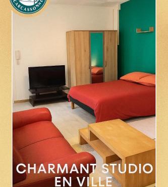 Carcassonne Studio