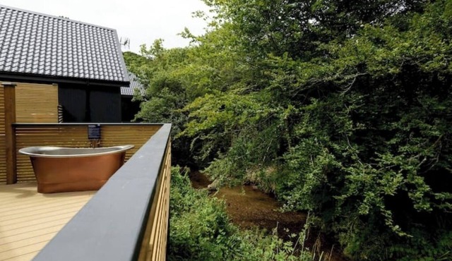 Cardinham Lodge : 3 bedroom - max 6 occ - VP5