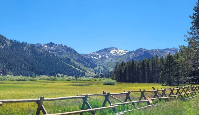 Carey's Slopeside 2 Bd 2 Bth 400 Resort RD