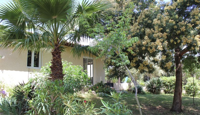 Cargèse, 2-room houses, 4 people, beach 5min by foot