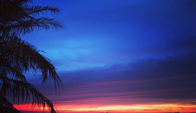 CARLSBAD OCEAN VIEWS ~ 100+ FIVE STAR REVIEWED HOSTS