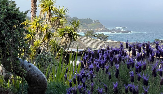 Carmel Highlands Escape secluded, stunning ocean views, newly remodeled villa
