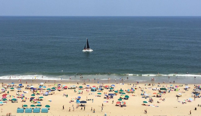 Carousel Oceanfront Condo w/Stunning Ocean & BayViews -Luxury Updates!