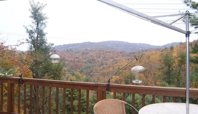 Carpathian Cabin-Blowing Rock-Boone-Long Range View-Tweetsie,Hike,Relax,Meditate
