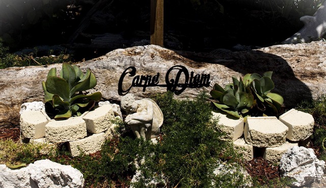 Carpe' Diem Heart of the Fl. Keys Specials