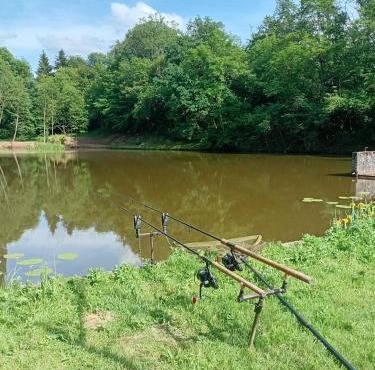 Carpfollies
