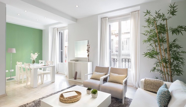 CARRETAS APARTMENTS MADRID 101