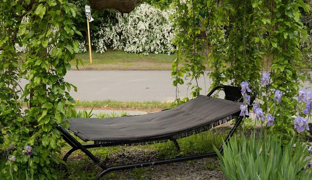 Carriage House - KingBed, Full Kitchen, Patio, Downtown