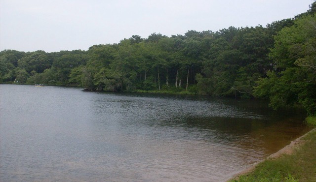 Carriage House, Swimming, Boating, Kayaking, just steps from your door.