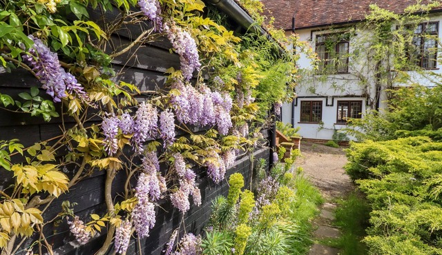 CART WHEEL COTTAGE, pet friendly, with open fire in Finchingfield