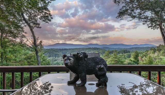 Carter`s Kaleidoscope View