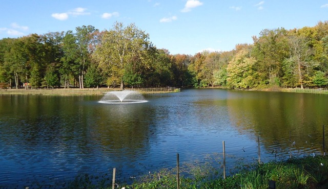 Carteret Getaway! 2 Pet-friendly Units, Free Parking, Onsite Bar, Near The Mills