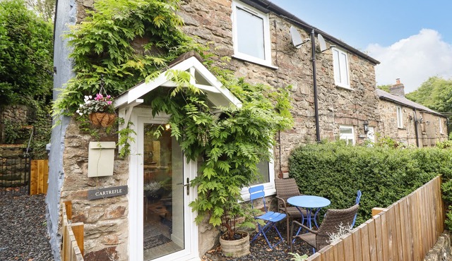 CARTREFLE, pet friendly, character holiday cottage in Bala