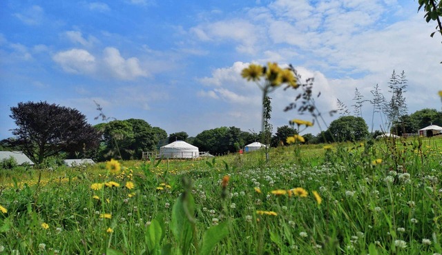 Carved Yurt - A luxury Mongolian-inspired Yurt in stunning 62 acre eco-friendly estate