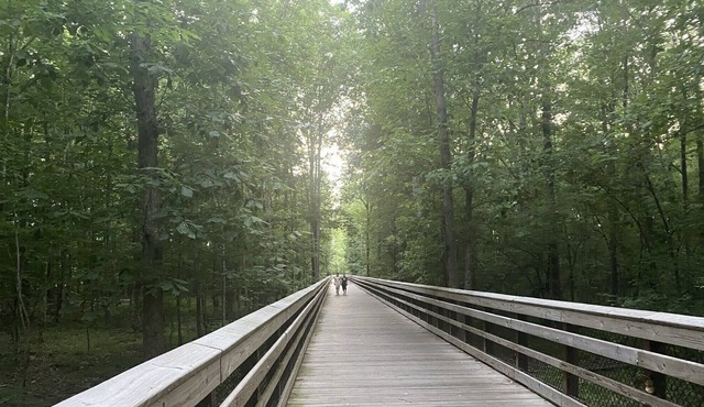 Cary RDU Retreat-Along Cary Greenway