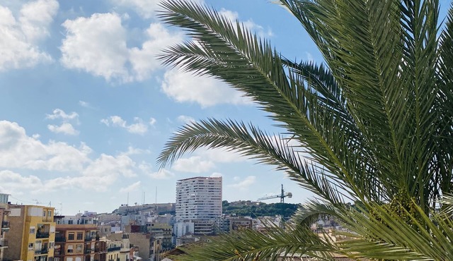 Casa 349h city centre apartments Alicante (ground floor)