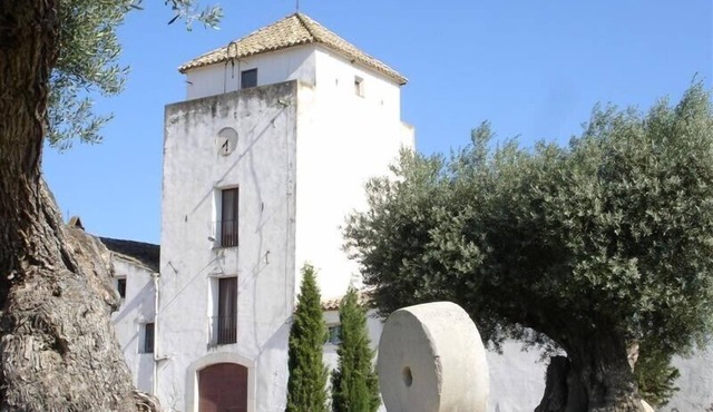 Casa Alerny - Reformed Winery with Pool. Beautiful Vinyards. 7 BR, 7 BA.