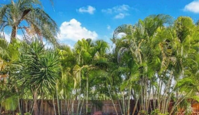 Casa aloha | tropical pool | beach 9 mins | games