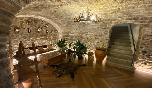 Casa Altemir