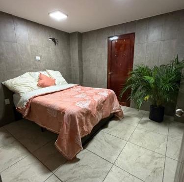 Casa Areka