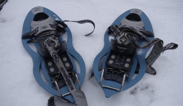 Casa Artegia