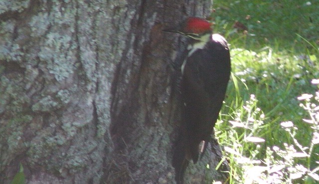 Casa Blanca Cottage 2