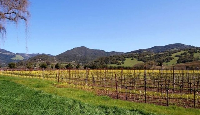 Casa Bonita - A Wine Country Retreat