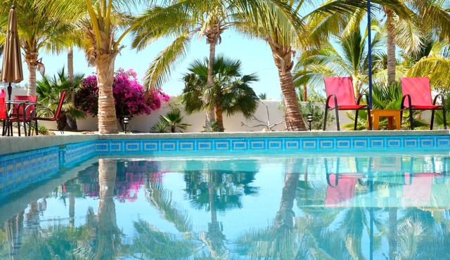 Casa Carolina's A Beautiful Beach House Surrounded By Palm Trees & Flowers.