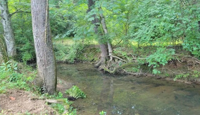 Casa Creek