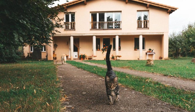 Casa de Campo La Solana