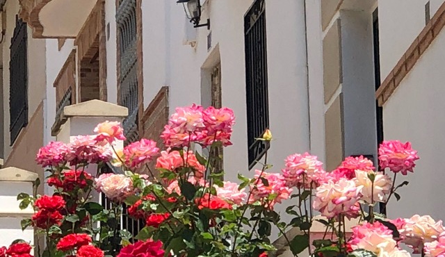 CASA DE LA CAÑADA Carchelejo (Jaén) - Spain