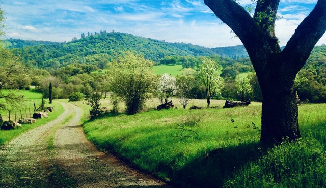 Casa de Luna ~ a 5 Star, private farm retreat with hot tub and large yoga room!