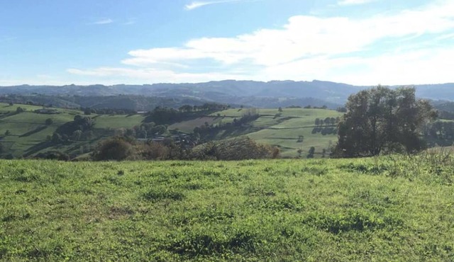 CASA DE PAILHES - GITES BORD DE FORET COEUR DE TRANQUILITE