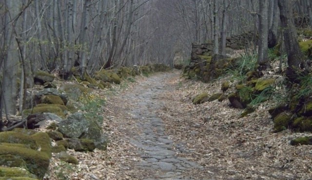 Casa de Pueblo " Rodrigo " Sierra de Gata, Villamiel, Cáceres