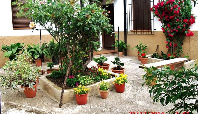 Casa del Abuelo 1