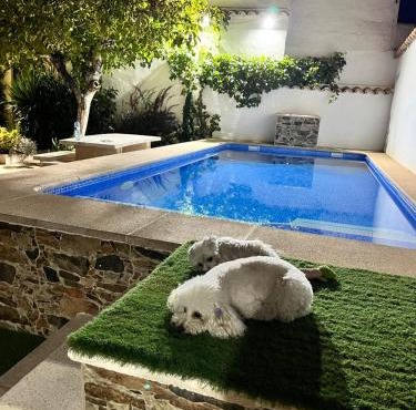 Casa Eufemia - Campo de Criptana