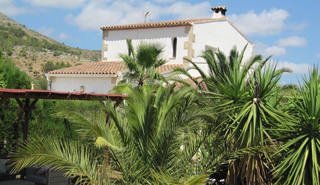Casa Gusta, a beautiful villa with exceptional pool and palm garden!n