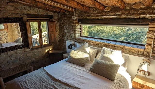 Casa Hostalets - In the Middle of the Olive Trees