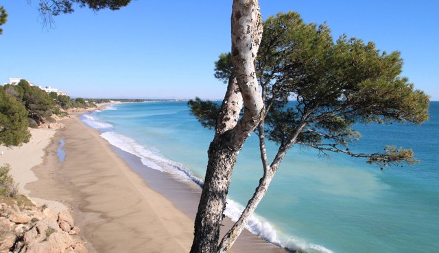 Casa Kiwi, Parc Mont-roig