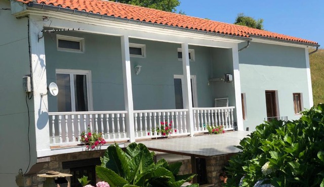 Casa la palmera