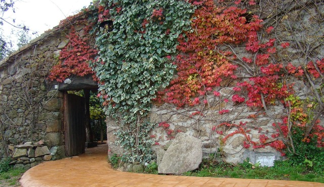 Casa la Salamanquesa in the heart of the Tietar Valley.