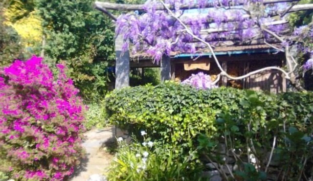 Casa Laura, Brione sopra Minusio