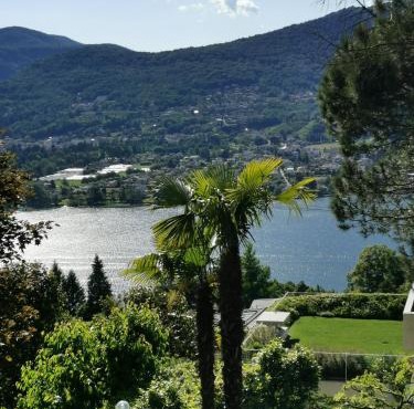 Casa le palme -Montagnola